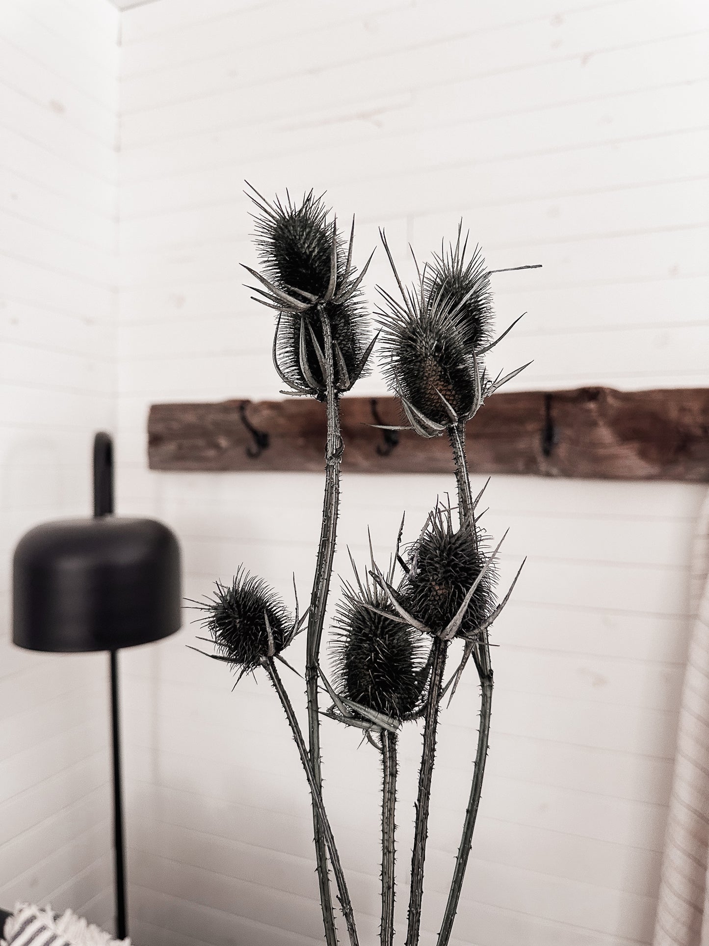 Bouquet de chardons (petit)