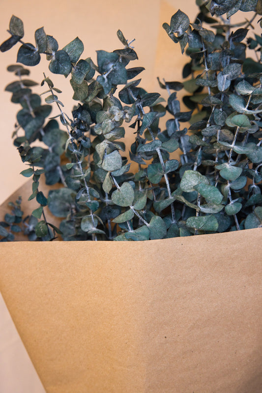 Bouquet eucalyptus vert givré (format régulier)
