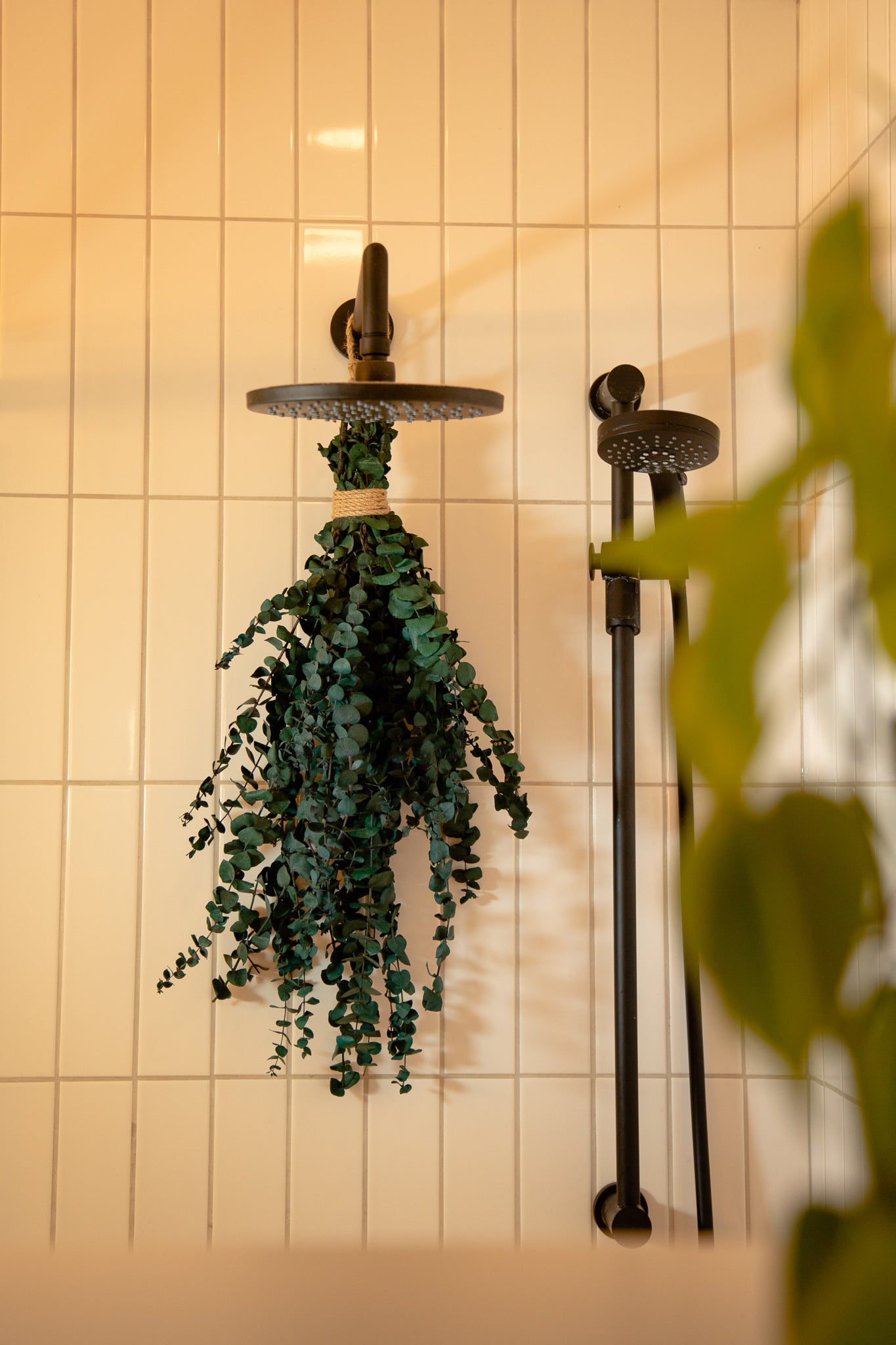 Bouquet eucalyptus vert (format régulier)