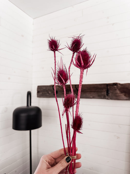 Bouquet de chardons (petit)